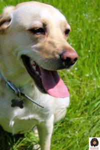 Great enjoyable walks 