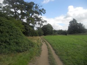 Walks at Brabyns Park , Marple.