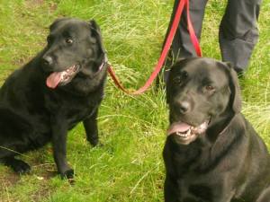 Martha and Henry around Romiley