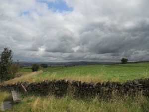 Beautiful walks at Aussie Dog Care.