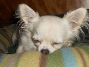 1002876_507503355998634_2114645248_n