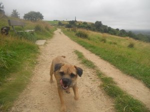 Werneth Low Country Park