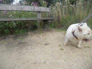 540096_518833088198994_170153717_n