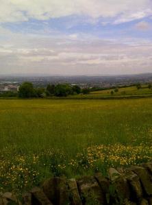 Beautiful Views with Summer Flowers.
