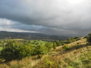 Dog Walks At Aussie Dog Care.