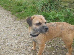 Fantastic care given!