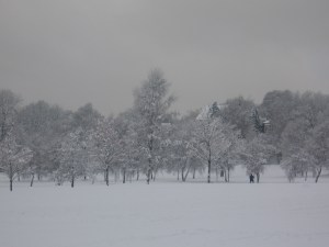 Previous Winter Walks.